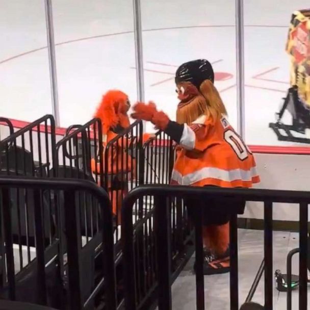 8-year-old dressed as Flyers mascot shares adorable dance with the