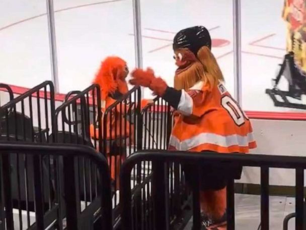 8-year-old dressed as Flyers mascot shares adorable dance with the actual  Gritty - Good Morning America
