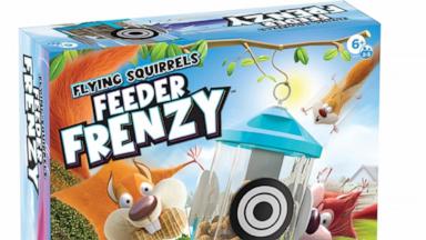 PHOTO: Flying Squirrels Feeder Frenzy Board Game