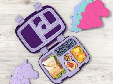 Pop Quiz Lunch Box - Savanna Spots – The Piccolina Shop