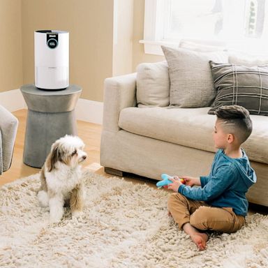 Air purifiers and humidifiers you can shop right now - Good Morning America