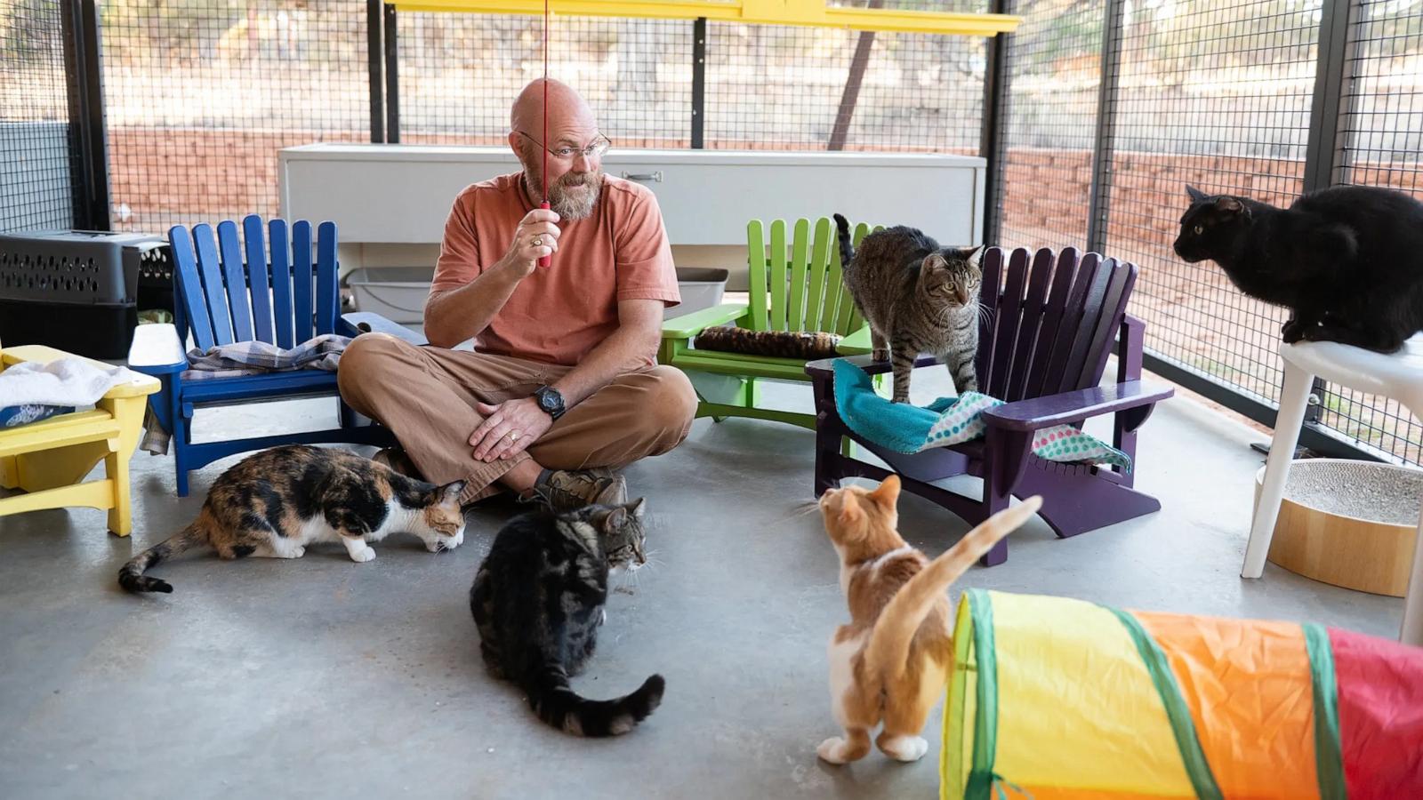 PHOTO: Curtis McIff makes miniature Adirondack chairs for the cats of Best Friends Animal Sanctuary in Kanab, Utah