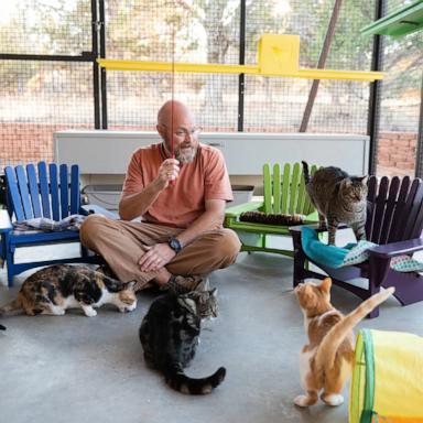PHOTO: Curtis McIff makes miniature Adirondack chairs for the cats of Best Friends Animal Sanctuary in Kanab, Utah