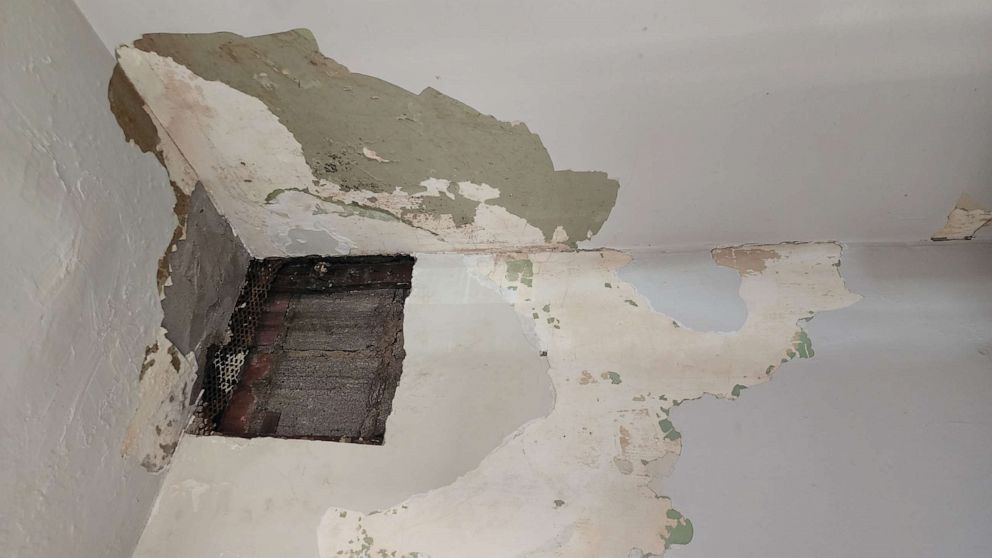 PHOTO: Denise Aiyedatiwa, 33, photographed issues in her Ohio apartment, including what she said was a ceiling leak, seen here.