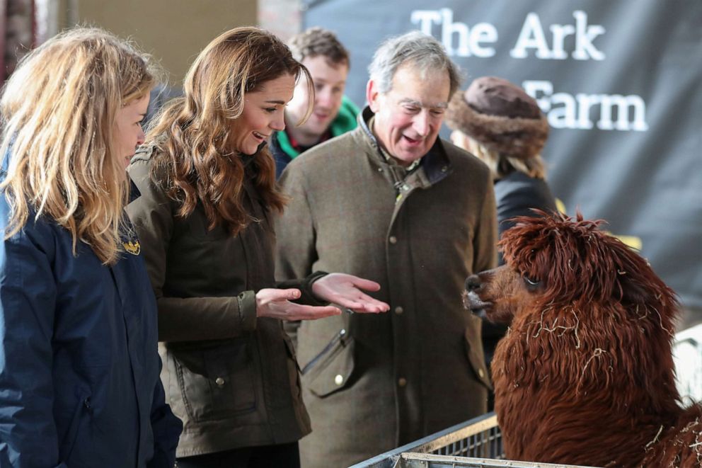 PHOTO: Duchess of Cambridge looks at an alpaca