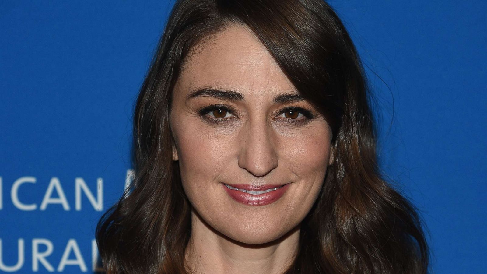 PHOTO: Sara Bareilles attends The American Museum Of Natural History 2018 Gala at American Museum of Natural History, Nov. 15, 2018, in New York.