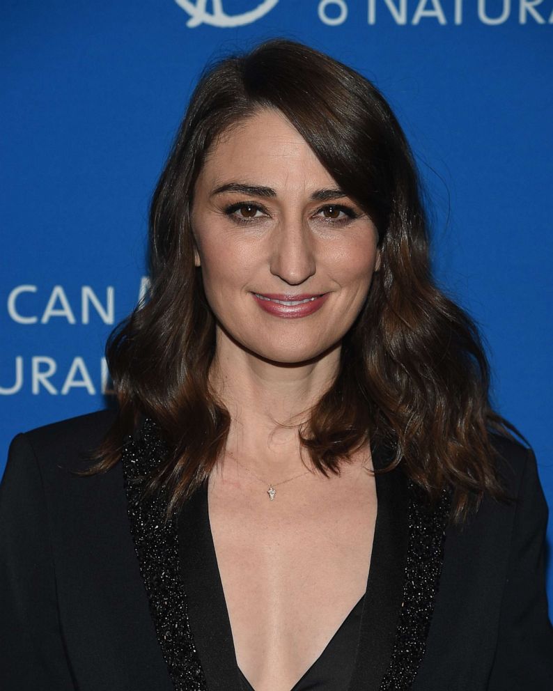 PHOTO: Sara Bareilles attends The American Museum Of Natural History 2018 Gala at American Museum of Natural History, Nov. 15, 2018, in New York.  