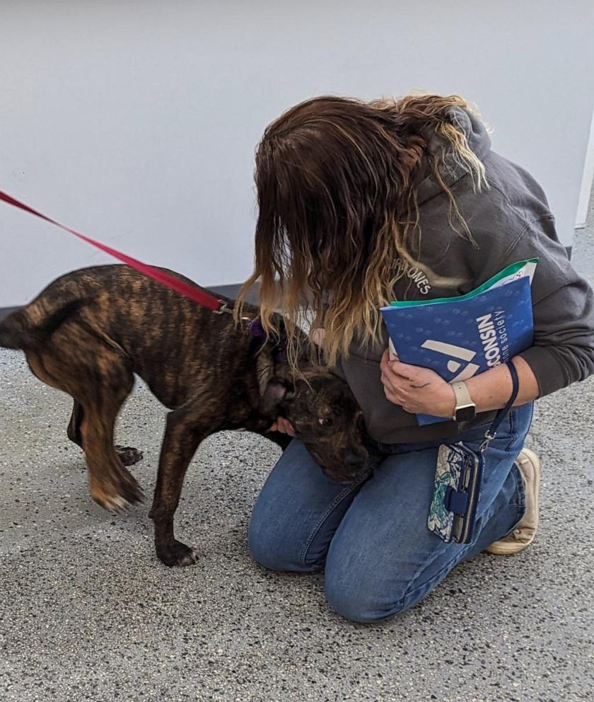 PHOTO: Bella, a five-legged dog, was adopted from the Wisconsin Humane Society on May 3.