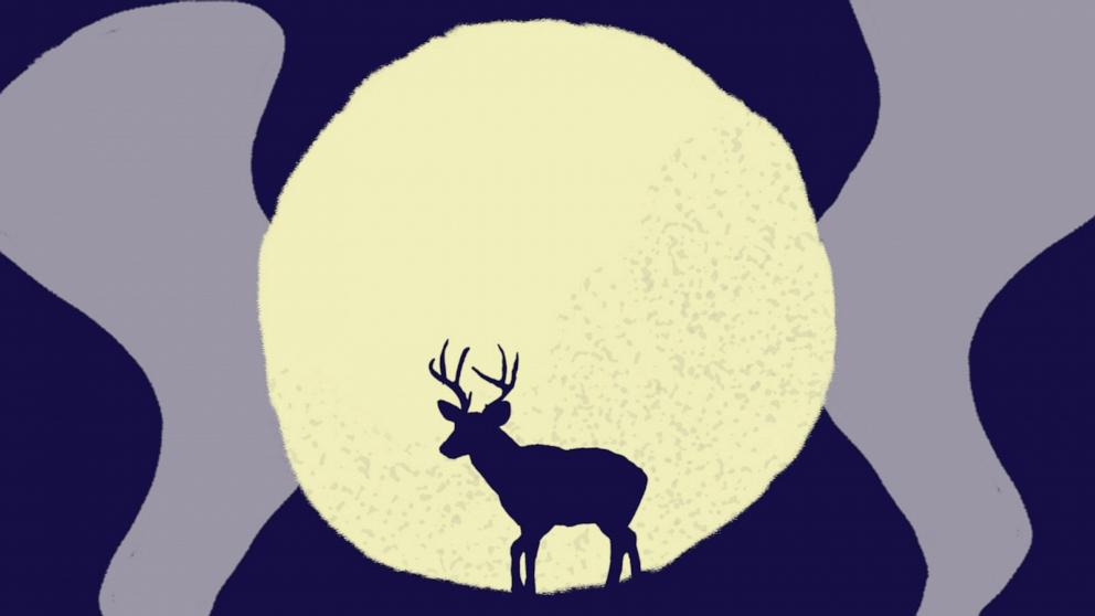 The full moon was dubbed the Buck Moon by northeastern Native American tribes because the antlers of male deer, known as bucks, are in "full-growth mode at this time." 