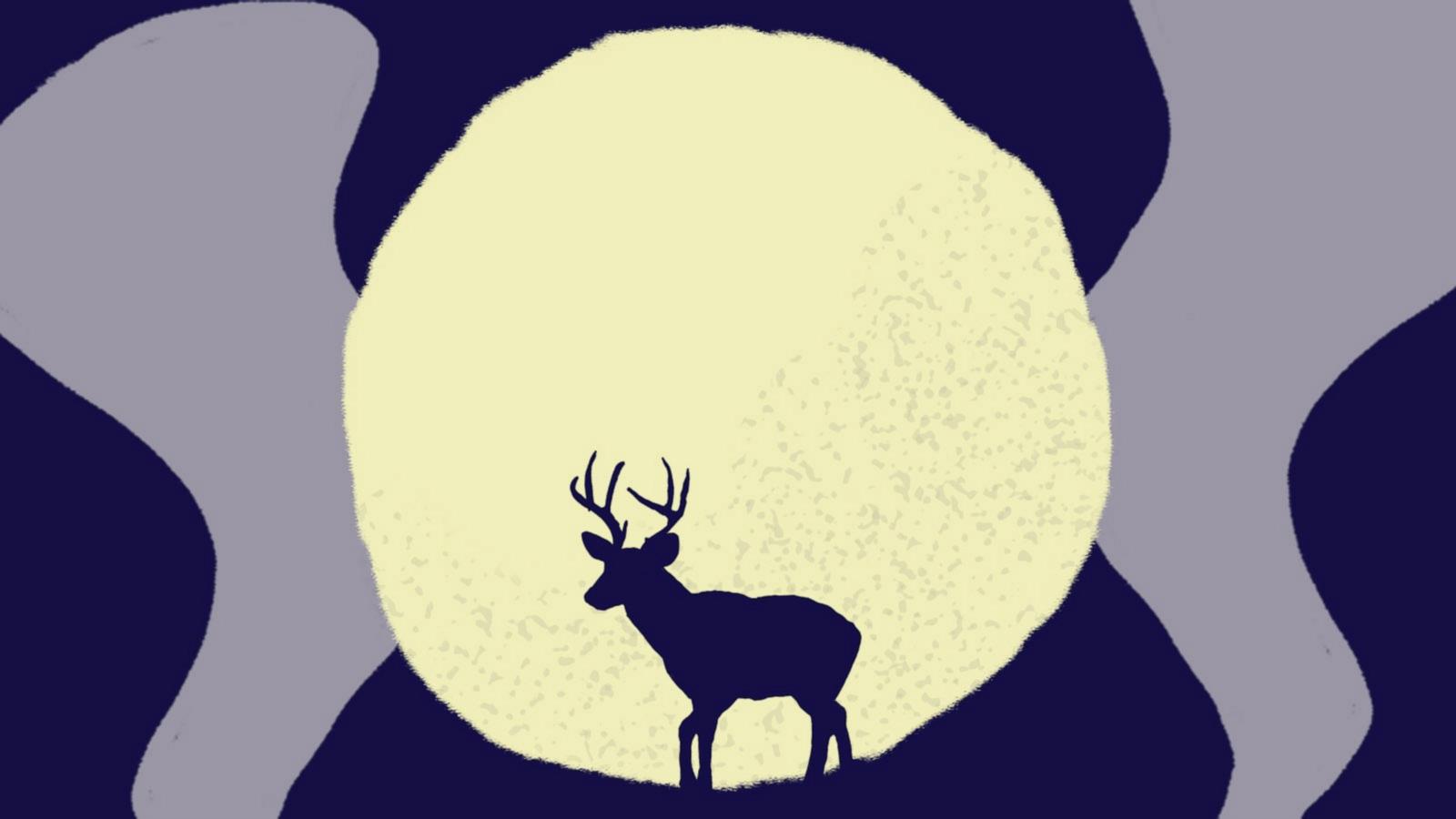 The full moon was dubbed the Buck Moon by northeastern Native American tribes because the antlers of male deer, known as bucks, are in "full-growth mode at this time."