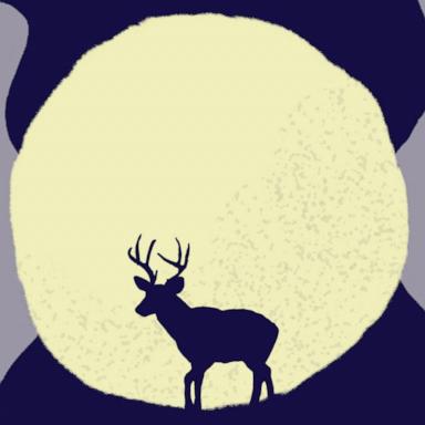 The full moon was dubbed the Buck Moon by northeastern Native American tribes because the antlers of male deer, known as bucks, are in "full-growth mode at this time." 