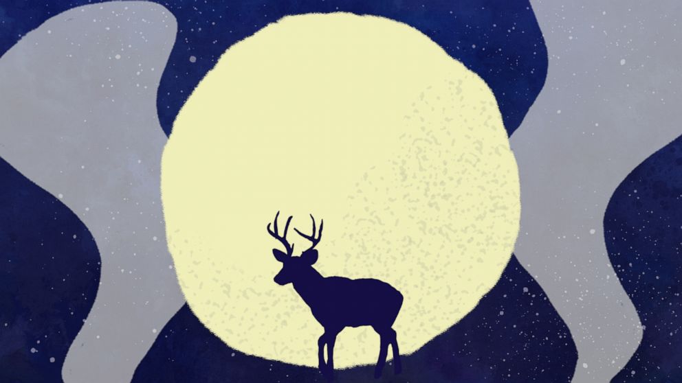 PHOTO: The Buck Moon will be July 3, 2023.
