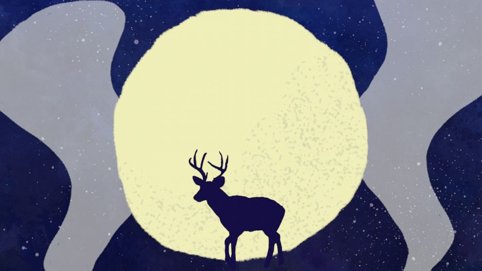 What is a Super Buck Moon? Full moon tips on how to live your best life