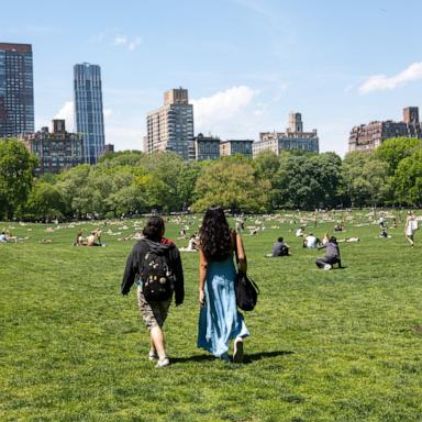 People gather on a lawn at Central Park on an unseasonably warm spring day in Manhattan on May 05, 2026, in New York City.