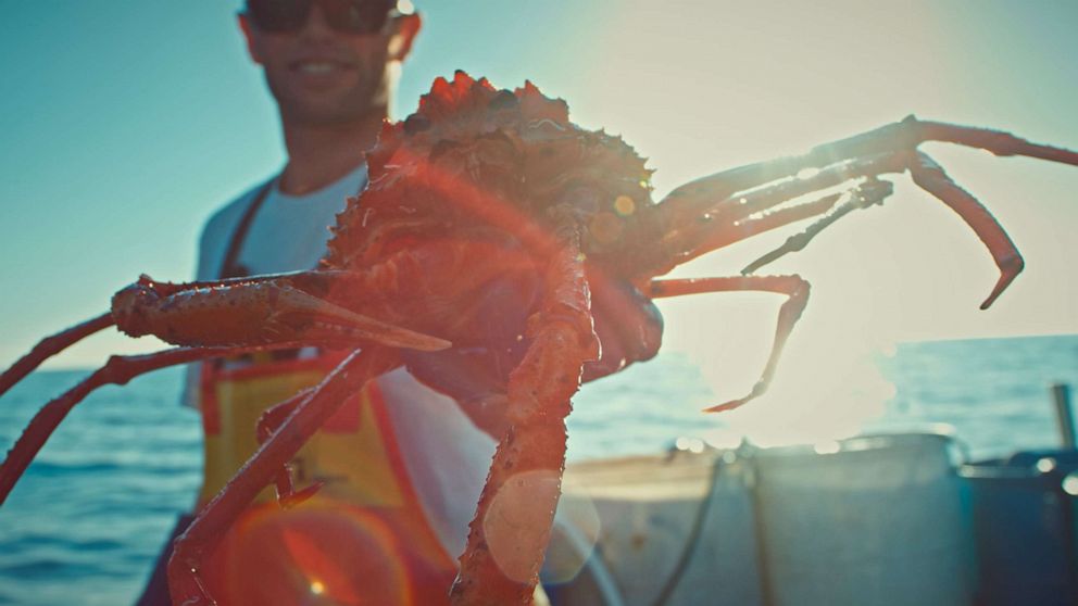 PHOTO: A fisherman holds up a large crab.