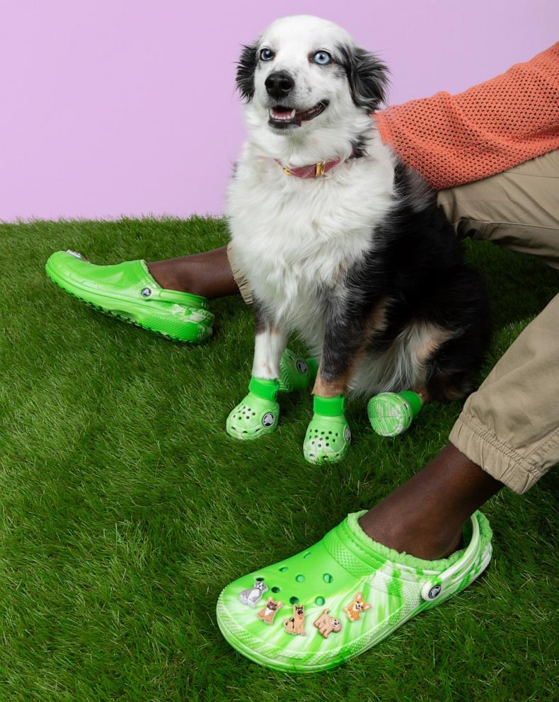 PHOTO: Pet Crocs are comfy and breathable EVA foam booties.