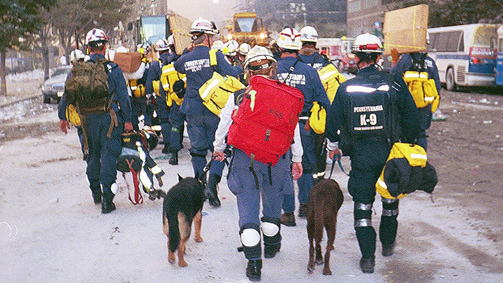 Remembering the hero search-and-rescue dogs of 9/11, 25 years later