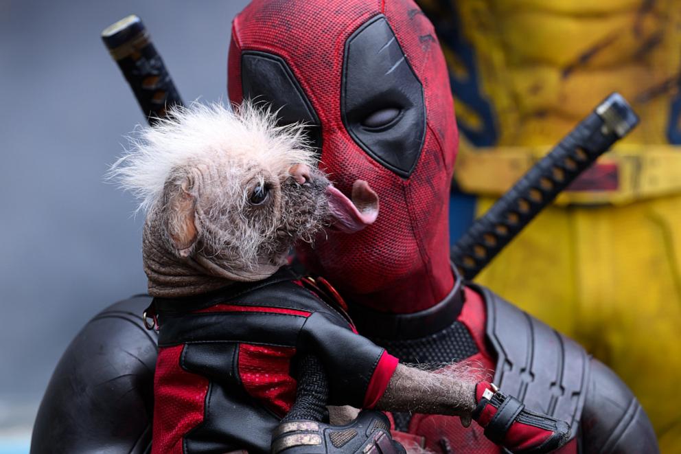 PHOTO: Dogpool and Ryan Reynolds as Deadpool/Wade Wilson and Hugh Jackman as Wolverine/Logan in "Deadpool & Wolverine."