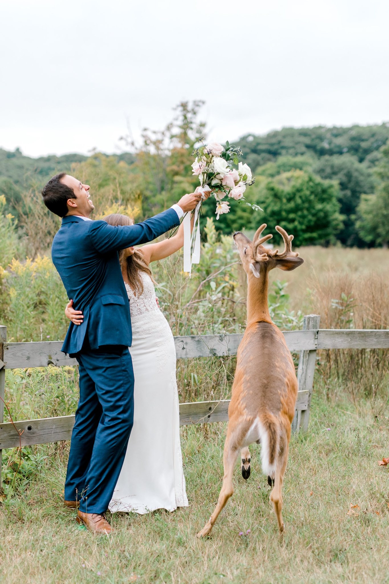 PHOTO: Morgan and Luke Mackley were surprised by a deer while their wedding photos were being taken.