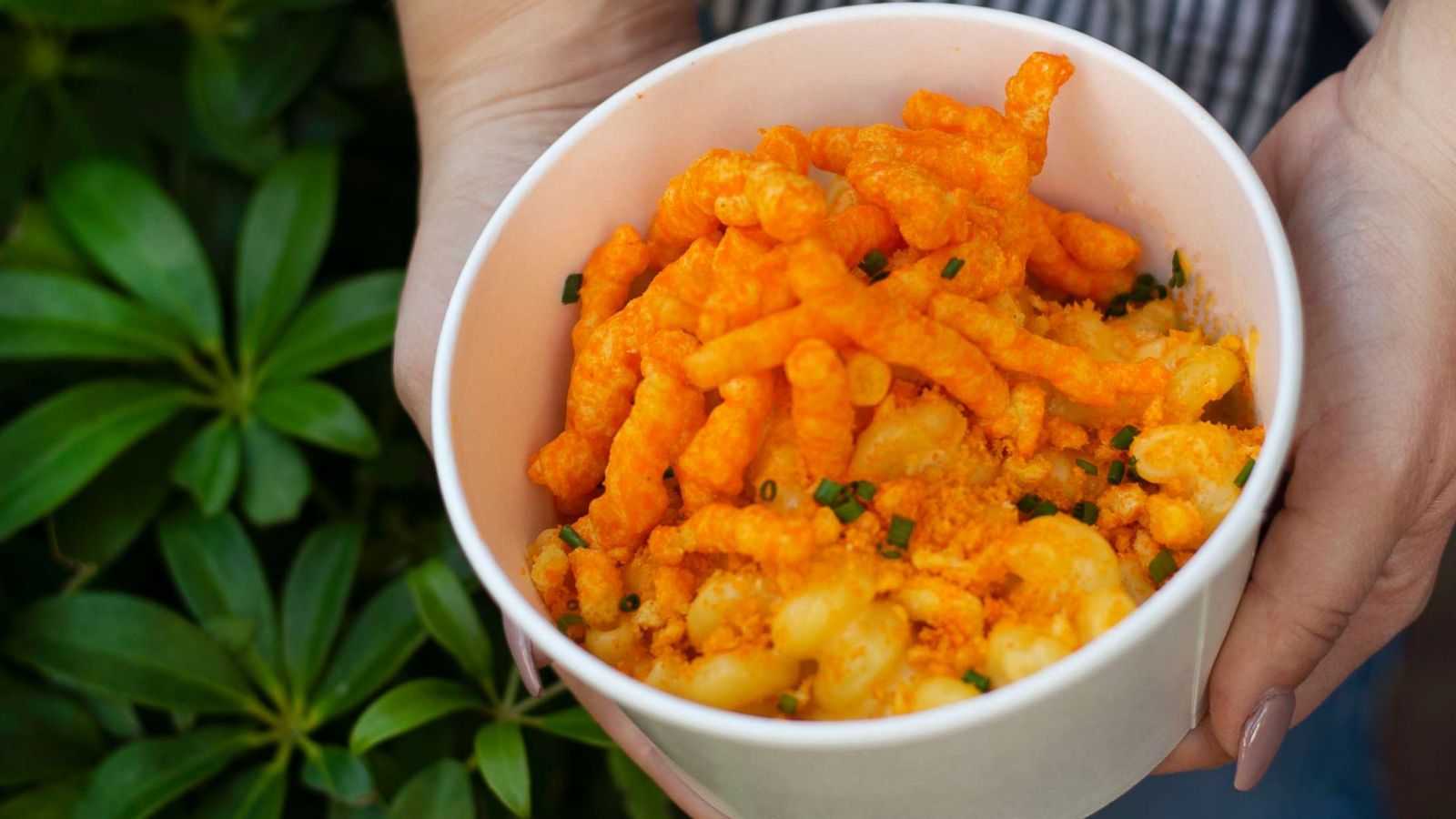 PHOTO: Crunchy MacNCheese at Disney Springs.