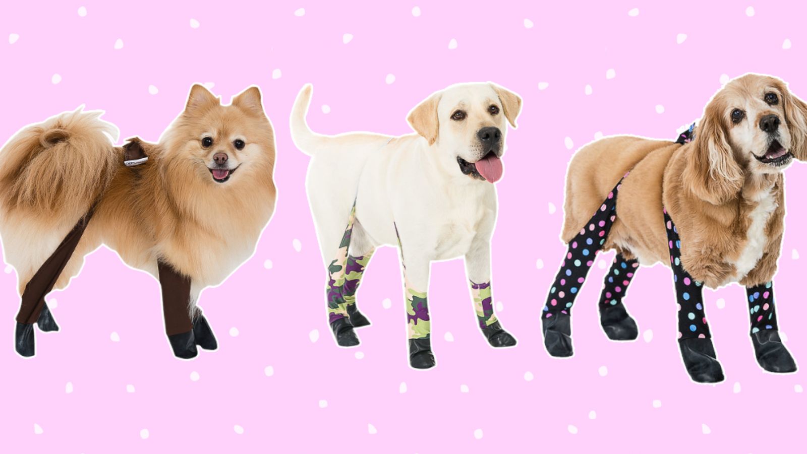 PHOTO: Dog Leggings