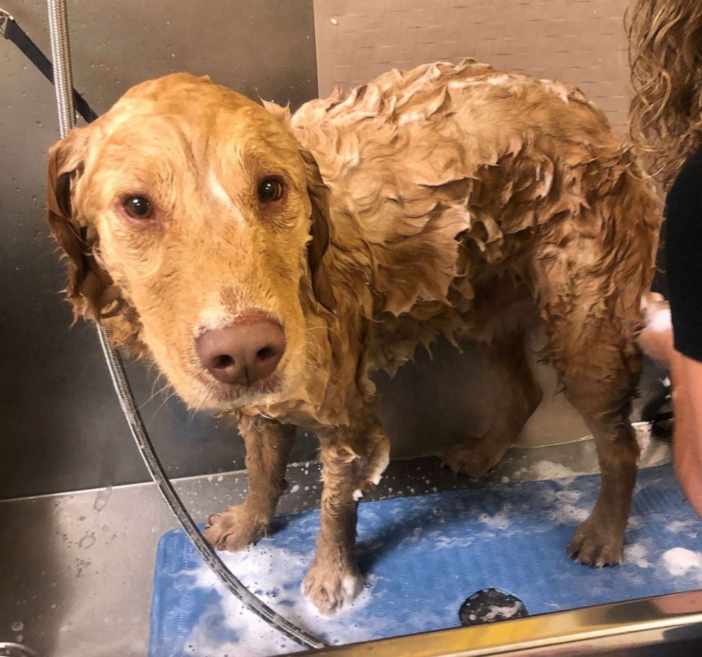 PHOTO: Walter getting a bath.