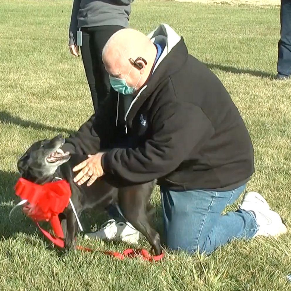 PHOTO: Steve Mejeur reunited with Lola in DuPage County, Illinois.