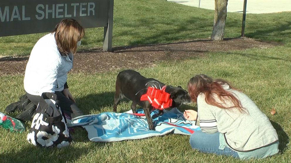 PHOTO: Debra Mejeur seeing her dog Lola for the first time in three years.