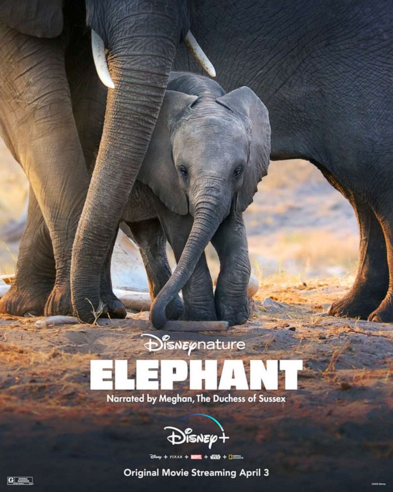 PHOTO: Disney+ honors Earth Month with new DisneyNature film "Elephant," narrated by Meghan, The Duchess of Sussex.