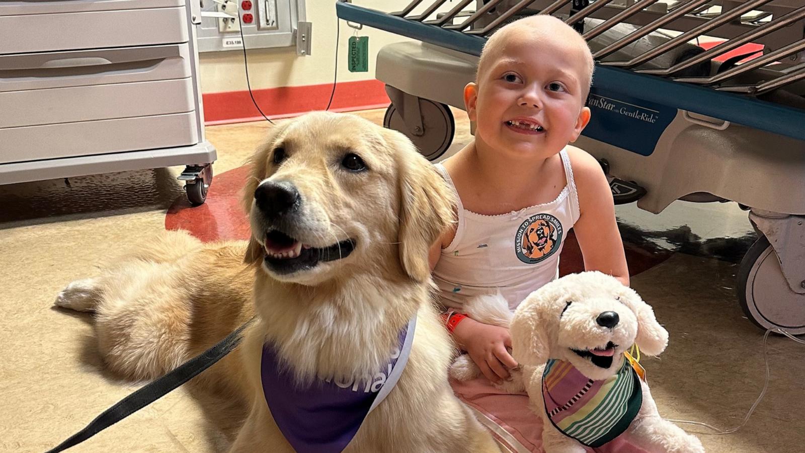 PHOTO: Amara, a patient at Children's National Hospital, smiles for a photo with Emma, a therapy dog and a golden retriever plush toy.