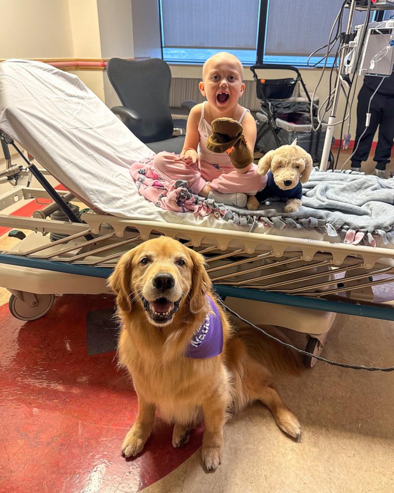 PHOTO: Amara with therapy dog Ellie and a golden retriever plush toy.