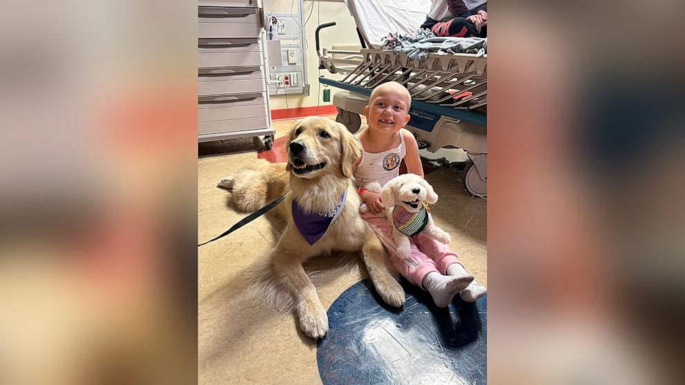 PHOTO: Amara, a patient at Children's National Hospital, smiles for a photo with Emma, a therapy dog and a golden retriever plush toy.