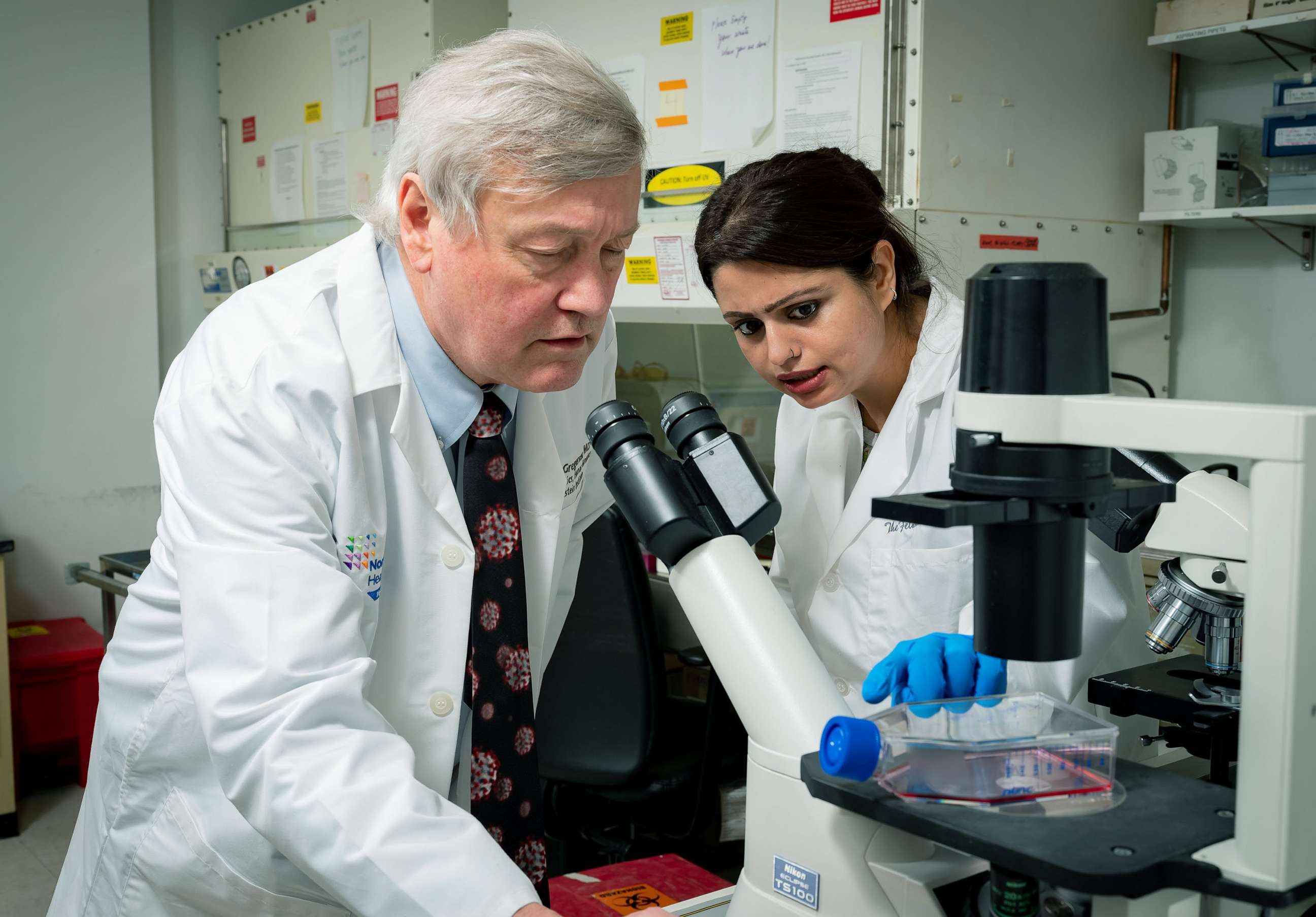 PHOTO: Dr. Peter Gregersen studies a lab specimen in the ROSE Study at Feinstein Institutes for Medical Research.