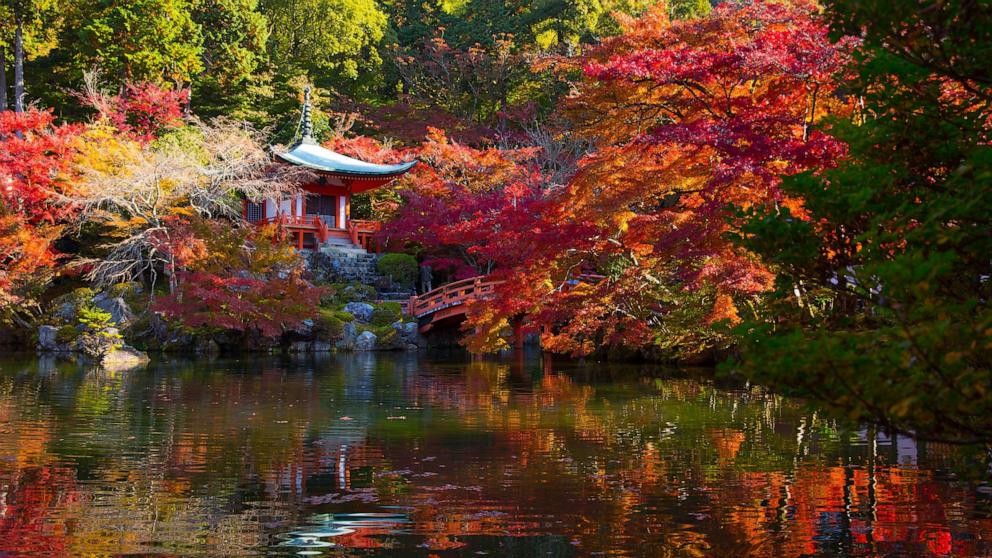 PHOTO: Buddhist structure surrounded by colored leaves inside UNESCO World Heritage Daigoji Temple in Kyoto during the Japanese autumn leaves season, Nov. 15, 2020. 