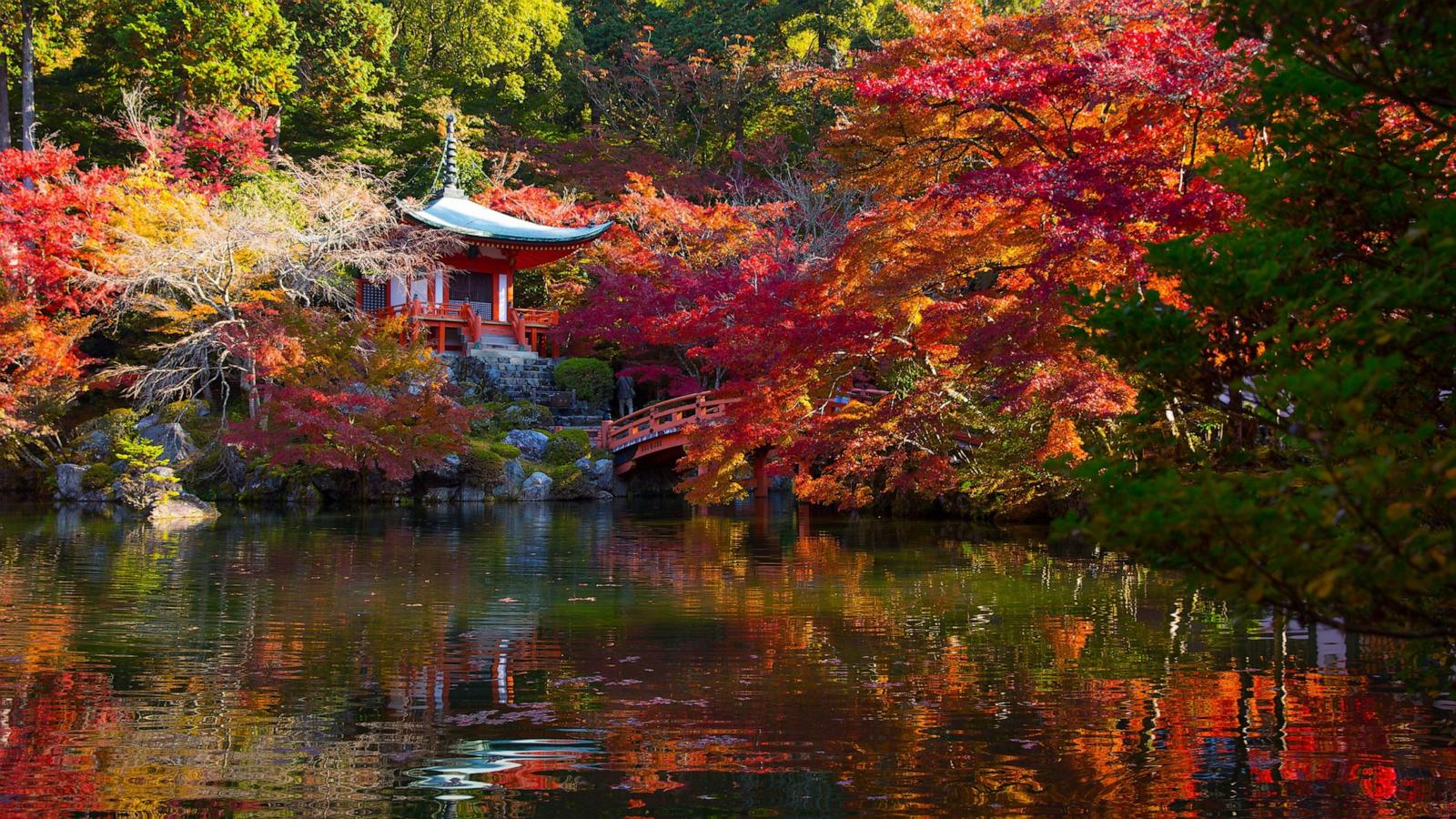 PHOTO: Buddhist structure surrounded by colored leaves inside UNESCO World Heritage Daigoji Temple in Kyoto during the Japanese autumn leaves season, Nov. 15, 2020.