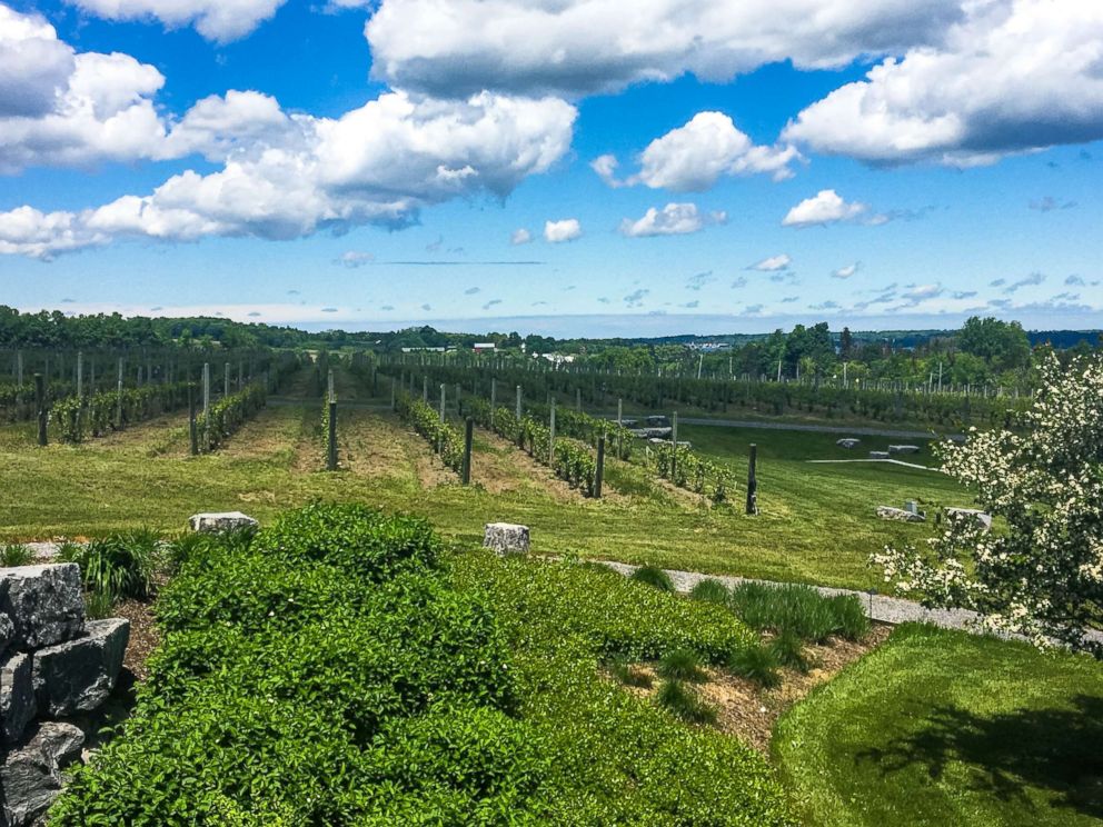 PHOTO: Finger Lakes, New York. 