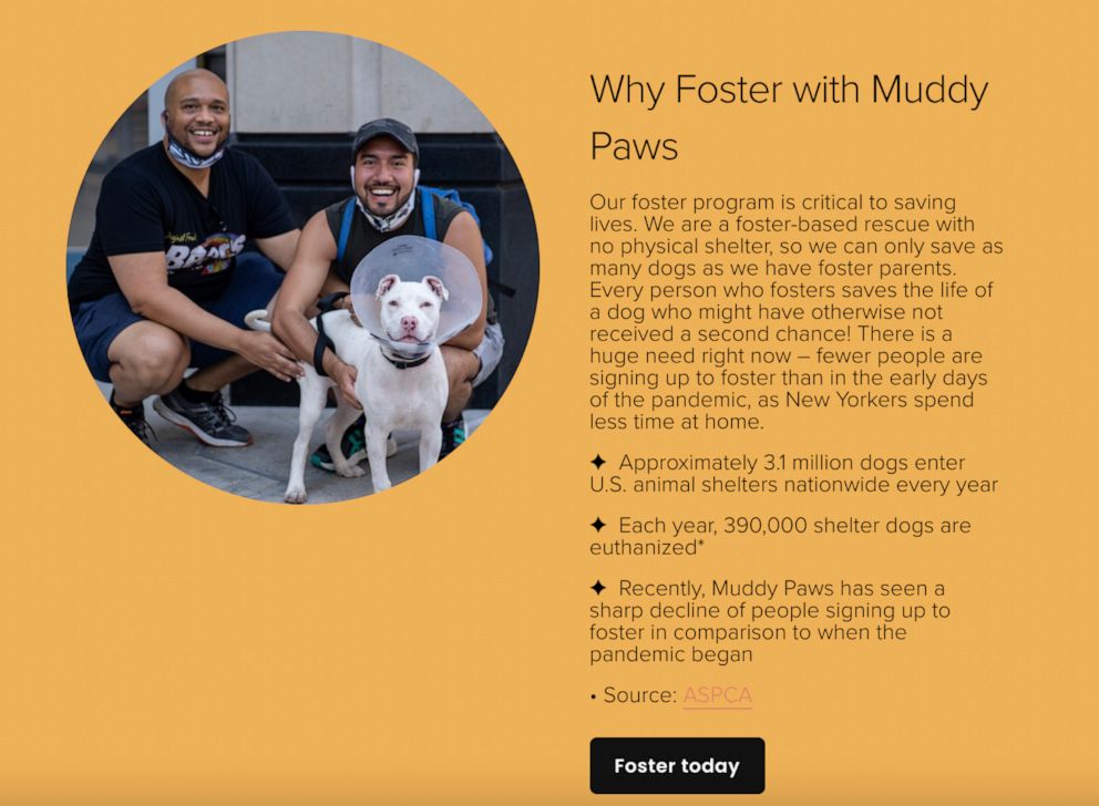 PHOTO: Muddy Paws teamed up with Squarespace to build a new Web site to spread awareness for their organization. 