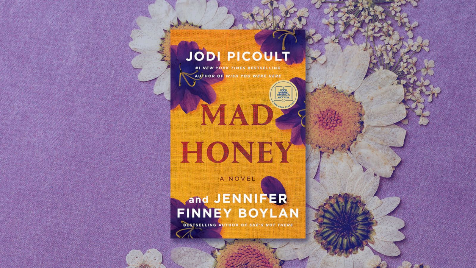 Jodi Picoult · Mad Honey (2022)