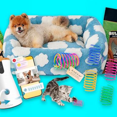 PHOTO: Amazon Prime Day 2025 deals for pets