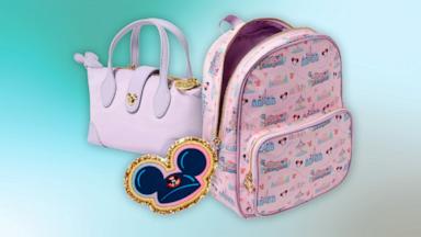 Disney Story Collection アクセサリーケース ヴァネッサ Disney Zip ID Case | Vera Bradley – Vera Bradley Outlet Store