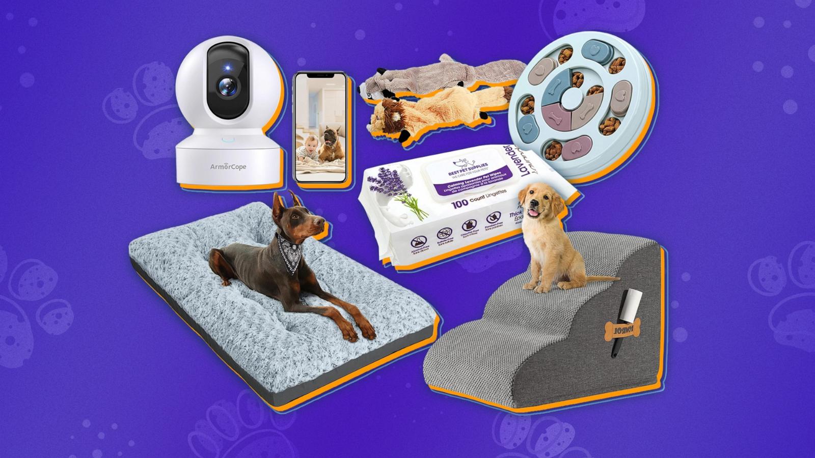 Amazon Pet Day 2024 Shop deals ahead of May 7 Good Morning America