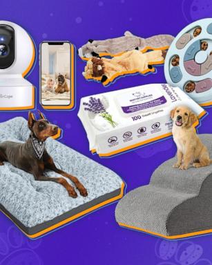 Amazon Pet Day 2024 Shop deals ahead of May 7 Good Morning America