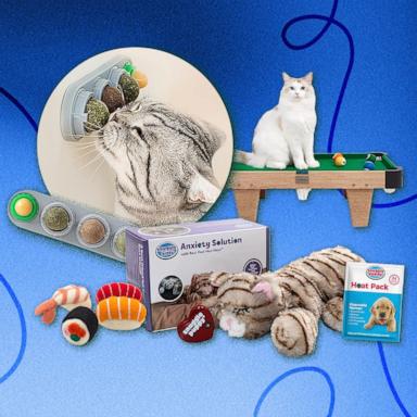 PHOTO: Shop top picks for cats