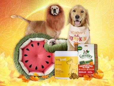 Dog toys treats cooling mats beds and more to help your pup live a happy and healthy life Good Morning America