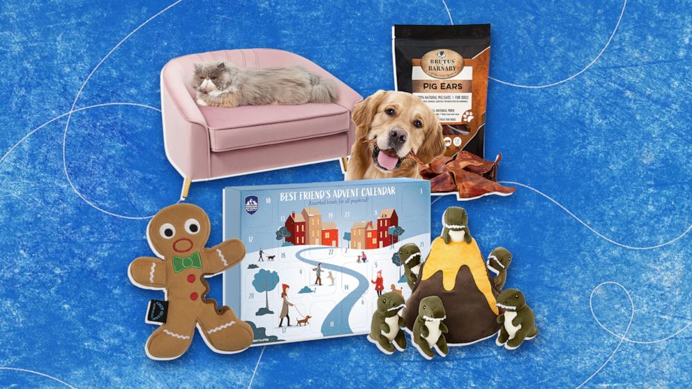 10 Products to Spoil Your Dog in 2021
