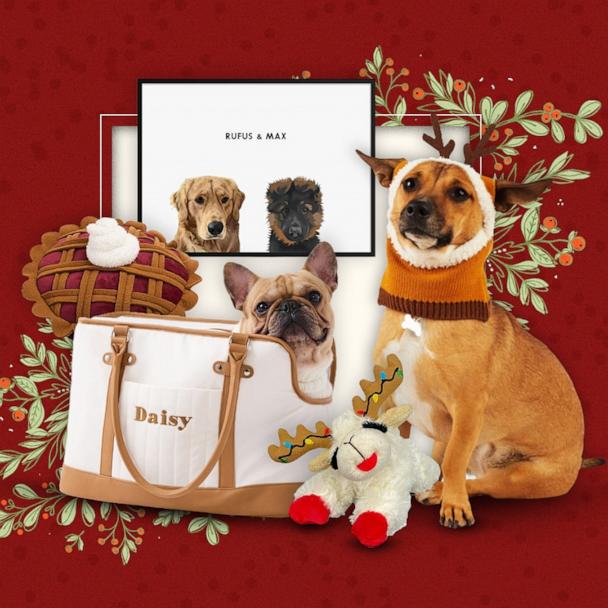 PHOTO: Shop dog treats, toys and more for the holidays and beyond 