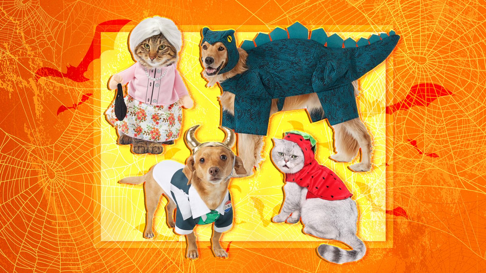 PHOTO: Shop Halloween costumes for cats and dogs