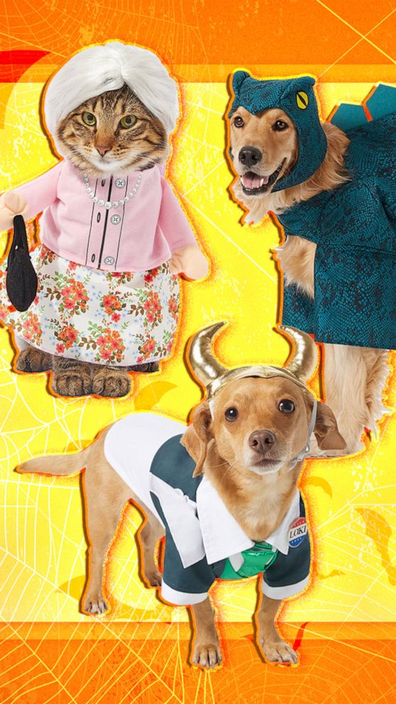 Dog Halloween Costumes, Pet Deadly Doll Dog Costume Funny Dog