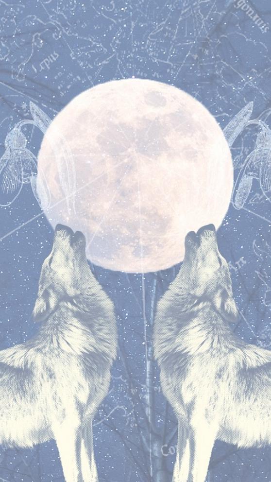 VIDEO: What January's full Wolf Moon means for your zodiac sign
