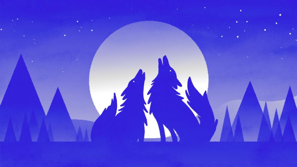 PHOTO: January's full moon, known as the Wolf Moon, is named for the wolves' winter howls.